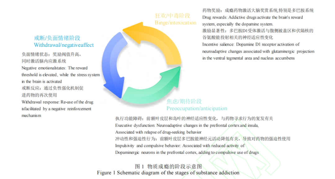 图1.png