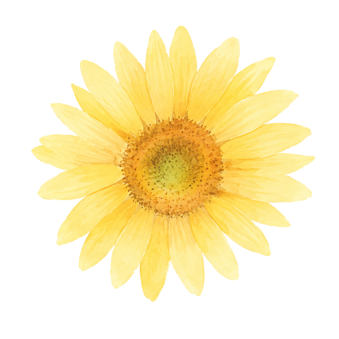 640