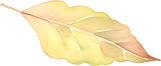 c7FJOi917685317792s