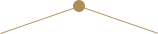 cGgO3yv1675932096PL