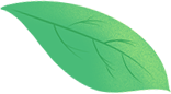 cTMSIbi1706594883tg